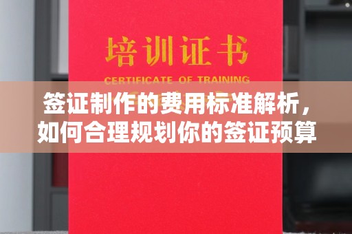 大涌签证制作的费用标准解析，如何合理规划你的签证预算