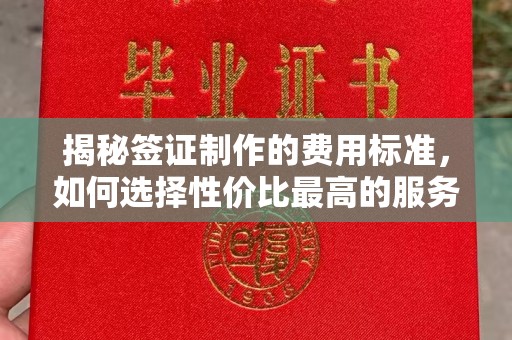 大涌揭秘签证制作的费用标准，如何选择性价比最高的服务？